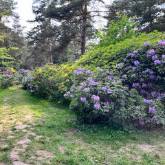 23-06-03 16-44-12 5794